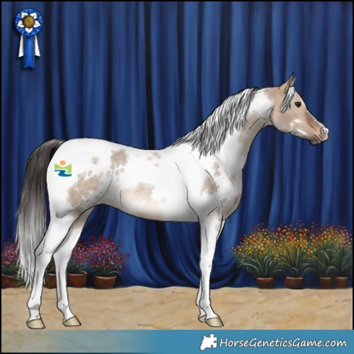 Horse Color:White Spotted Bay Dun Tobiano Rabicano 