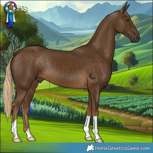 Horse Color:Chocolate Palomino 