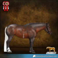 Horse Color:Silver Brown Sabino 