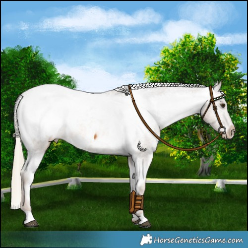 Horse Color:Chocolate Palomino Snowcap 