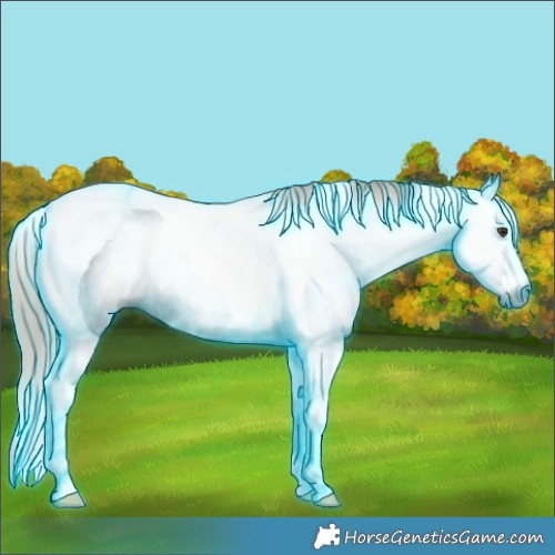Horse Color:Gray Thunderstruck Liver Chestnut Tobiano Rabicano 