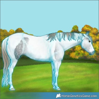 Horse Color:Gray Thunderstruck Liver Chestnut Tobiano Rabicano