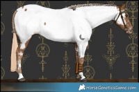 Horse Color:Chocolate Palomino Near Fewspot 