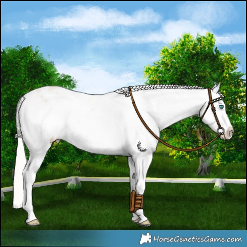 Horse Color:Cremello Roan Varnish 