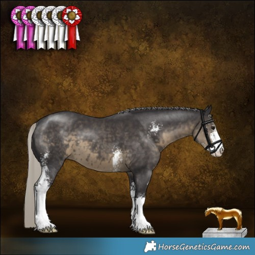 Horse Color:Silver Smoky Black Sabino 