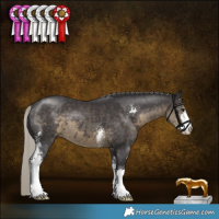 Horse Color:Silver Smoky Black Sabino