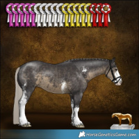 Horse Color:Silver Smoky Black Sabino 