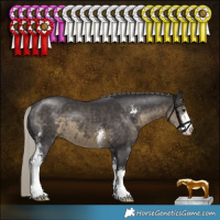 Horse Color:Silver Smoky Black Sabino 