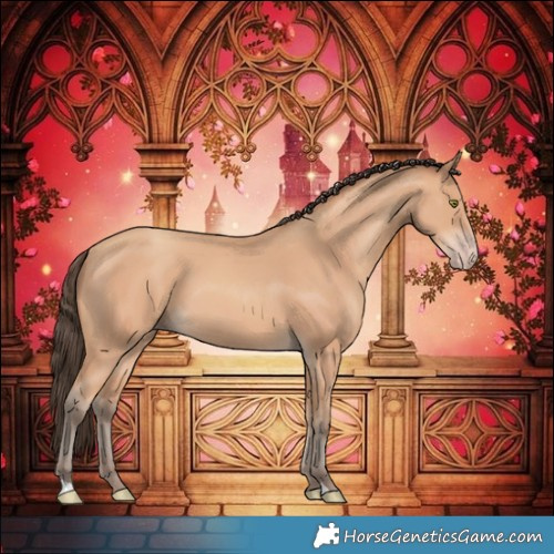 Horse Color:Amber Champagne 
