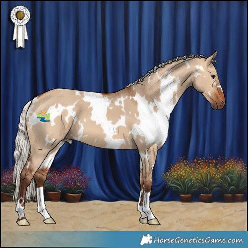 Horse Color:White Spotted Silver Bay Dun 