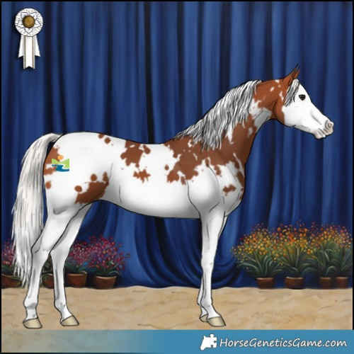 Horse Color:White Spotted Silver Bay Splash