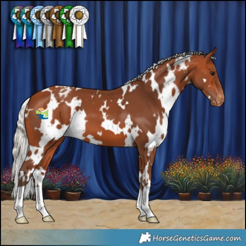Horse Color:White Spotted Silver Bay Varnish 