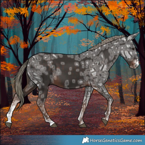 Horse Color:Liver Chestnut Ice Mushroom Sabino 