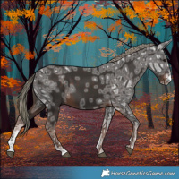 Horse Color:Liver Chestnut Ice Mushroom Sabino