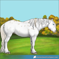 Horse Color:White Spotted Chocolate Palomino Mushroom Sabino Splash
