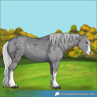 Horse Color:White Spotted Silver Black Chinchilla Ice