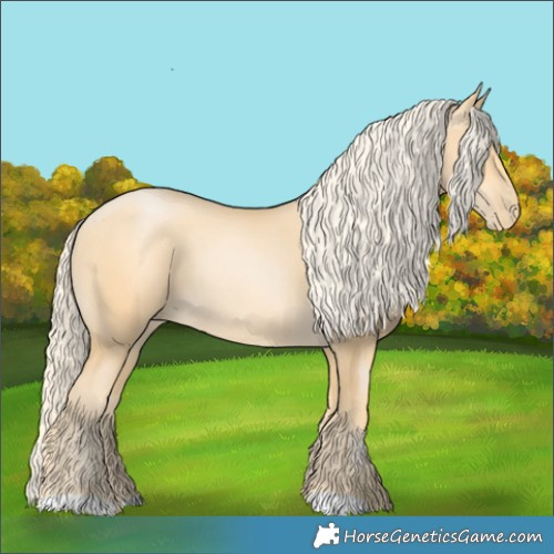Horse Color:Palomino Pearl Rabicano 