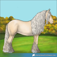Horse Color:Palomino Pearl Rabicano