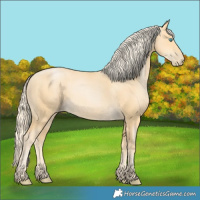Horse Color:Palomino Pearl 