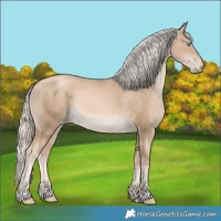 Horse Color:Chocolate Palomino Pearl Rabicano 