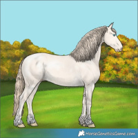 Horse Color:Perlino Dun Rabicano