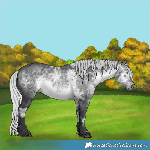 Horse Color:Silver Brown Chinchilla Ice