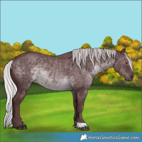 Horse Color:Chocolate Silver Black Chinchilla Rabicano 