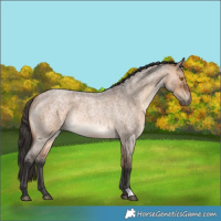 Horse Color:Bay Roan Dun Rabicano