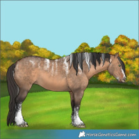 Horse Color:Powder White Brown Dun 