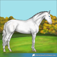 Horse Color:White Spotted Silver Brown Dun Splash Tobiano 