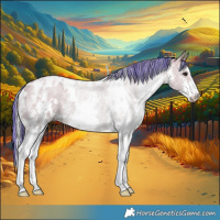 Horse Color:Painted White Spotted Silver Grullo Sabino 