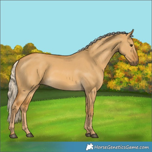 Horse Color:Palomino Dun 