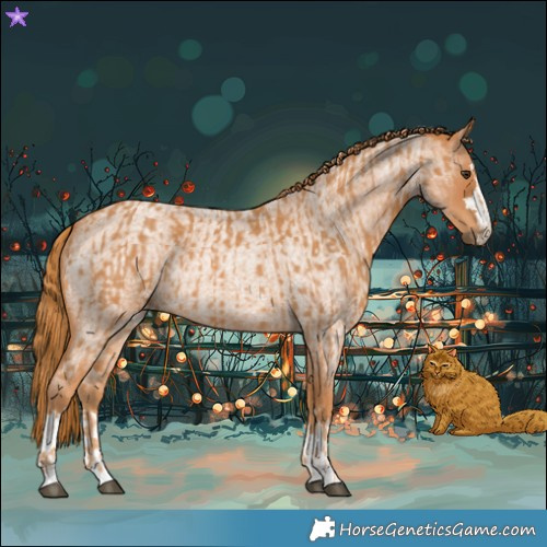 Horse Color:Chestnut  and Red Roan 