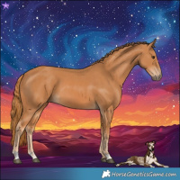 Horse Color:Chestnut  and Chestnut 