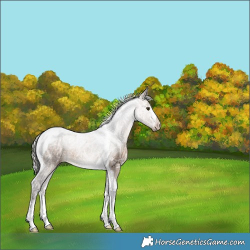 Horse Color:White Spotted Silver Brown Ice Dun Tobiano Rabicano 
