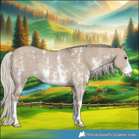 Horse Color:Silver Grullo Sabino Rabicano 