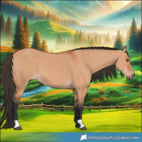 Horse Color:Bay Dun