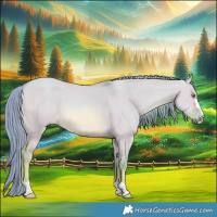 Horse Color:Watercolor Red Dun 