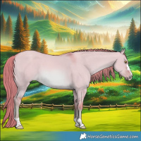 Horse Color:Watercolor Red Dun