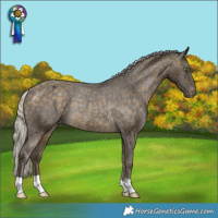 Horse Color:Silver Buckskin Varnish Rabicano 