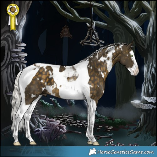 Horse Color:White Spotted Silver Buckskin Splash Tobiano 