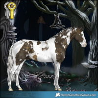 Horse Color:White Spotted Silver Buckskin Splash Tobiano 