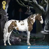 Horse Color:White Spotted Silver Buckskin Splash Tobiano