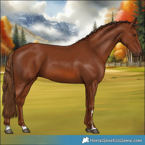 Horse Color:Chestnut 