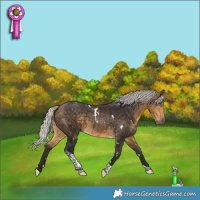 Horse Color:White Spotted Silver Buckskin Tobiano
