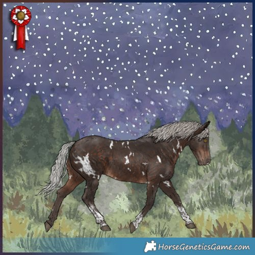 Horse Color:White Spotted Silver Brown Tobiano 