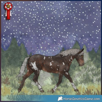 Horse Color:White Spotted Silver Brown Tobiano