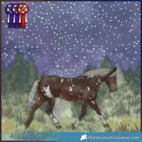 Horse Color:White Spotted Silver Brown Tobiano 
