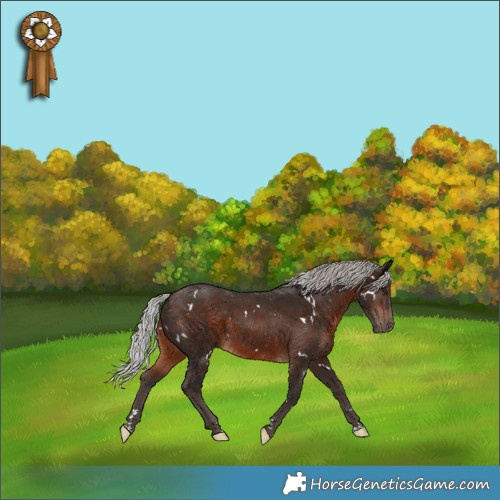 Horse Color:White Spotted Silver Brown 