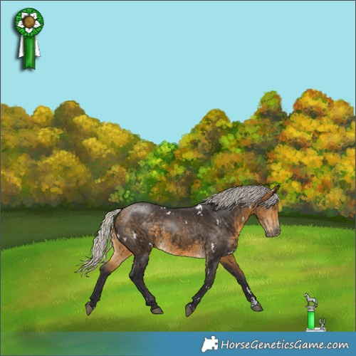 Horse Color:White Spotted Silver Buckskin